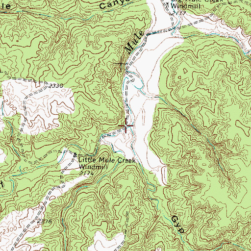 Topographic Map of Gyp Canyon, TX