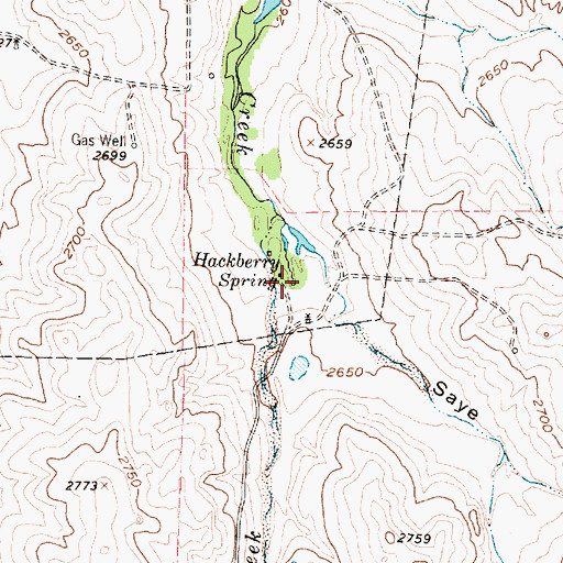 Topographic Map of Hackberry Spring, TX