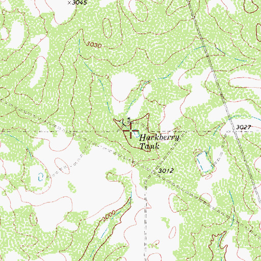 Topographic Map of Hackberry Tank, TX