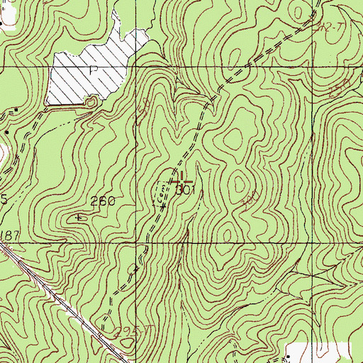 Topographic Map of Hadnot Cemetery, TX