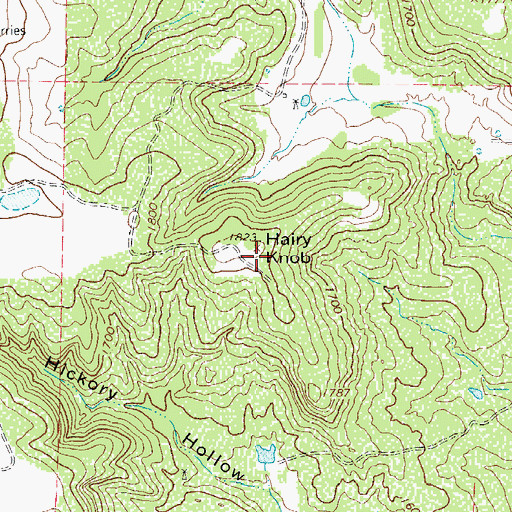 Topographic Map of Hairy Knob, TX