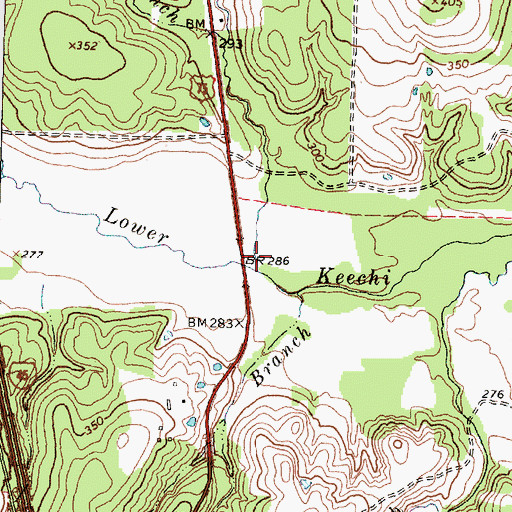 Topographic Map of Hale Branch, TX
