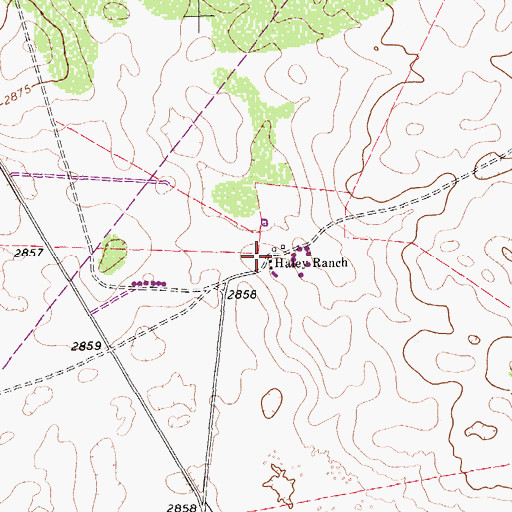 Topographic Map of Haley Ranch, TX