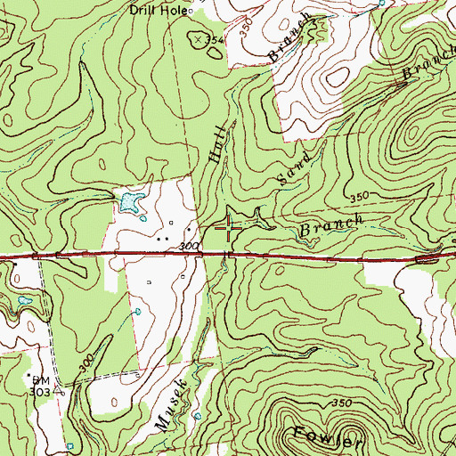 Topographic Map of Hall Branch, TX