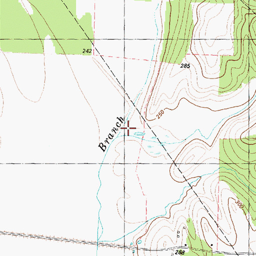 Topographic Map of Hall Branch, TX