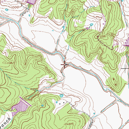 Topographic Map of Hall Branch, TX