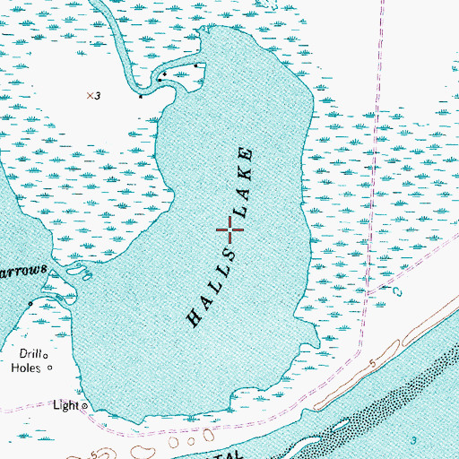 Topographic Map of Halls Lake, TX