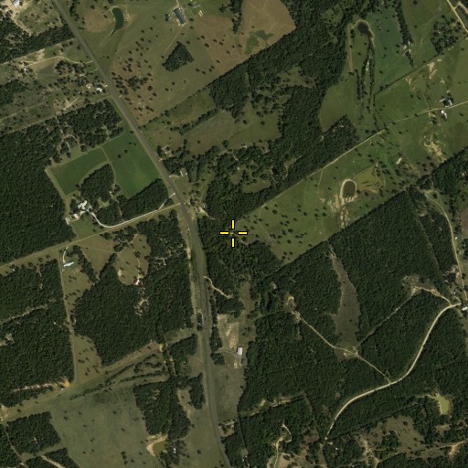 Aerial/Satellite Image of Hammond Branch, TX