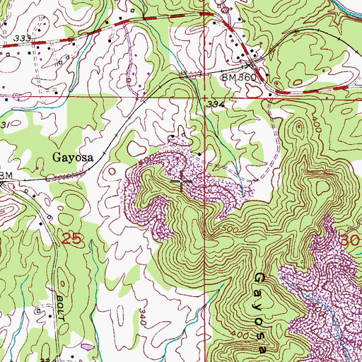 Topographic Map of Gayosa Mine, AL