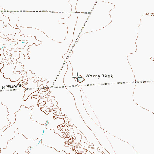 Topographic Map of Harry Tank, TX