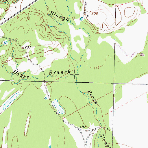 Topographic Map of Hayes Branch, TX