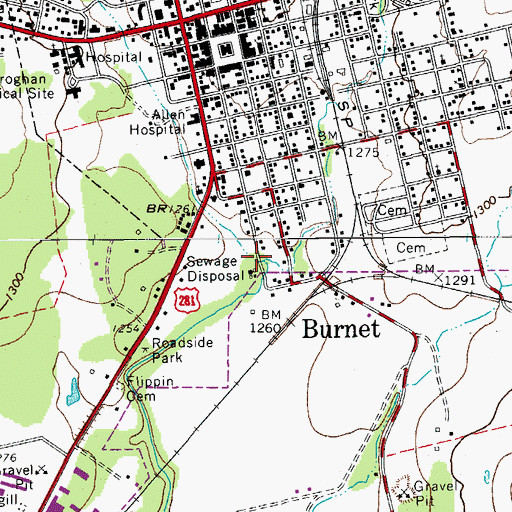 Topographic Map of Haynie Branch, TX