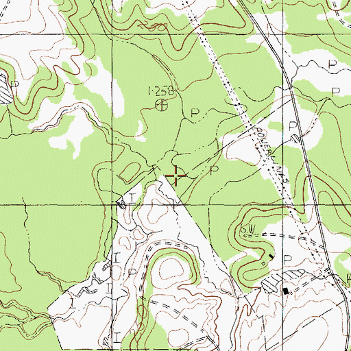 Topographic Map of Hays Branch, TX