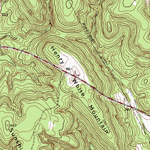 Topographic Map of Henry White Mountain, TX
