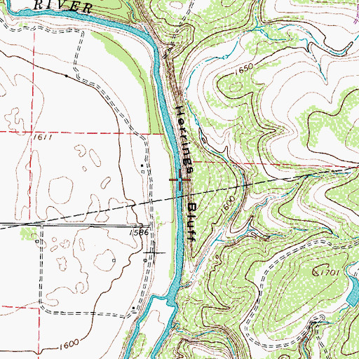Topographic Map of Herrings Bluff, TX