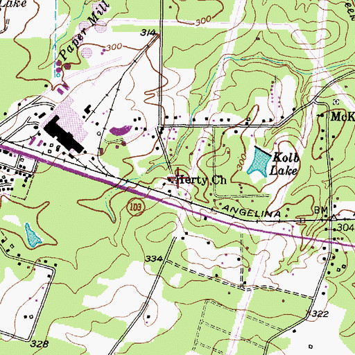 Topographic Map of Herty Church, TX