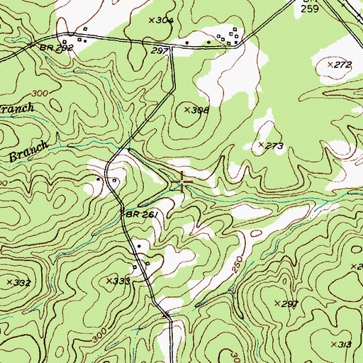 Topographic Map of Hickman Branch, TX