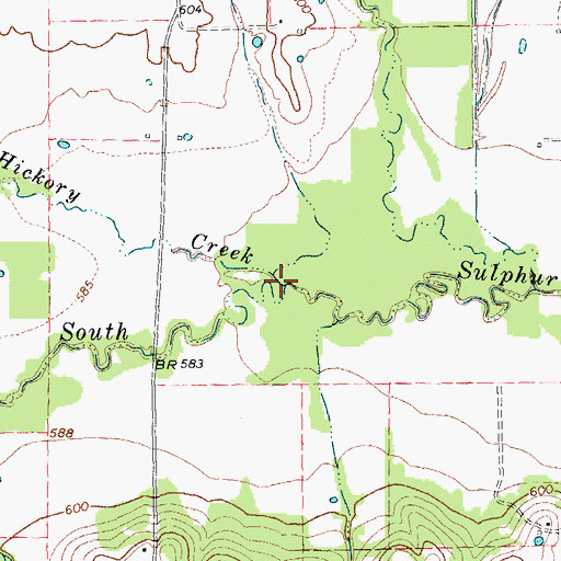 Topographic Map of Hickory Creek, TX