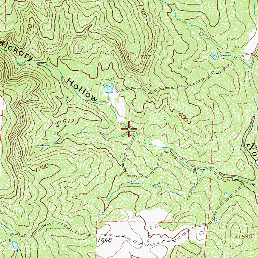 Topographic Map of Hickory Hollow, TX
