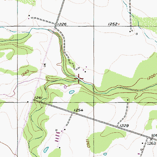 Topographic Map of Hoffman Branch, TX
