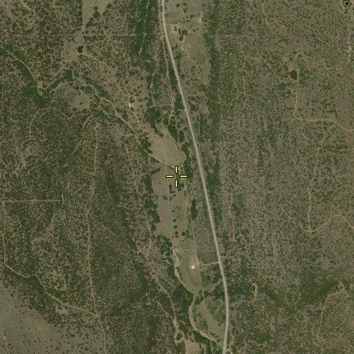 Aerial/Satellite Image of Hog Branch, TX