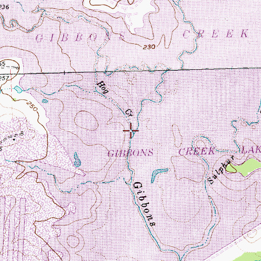 Topographic Map of Hog Creek, TX