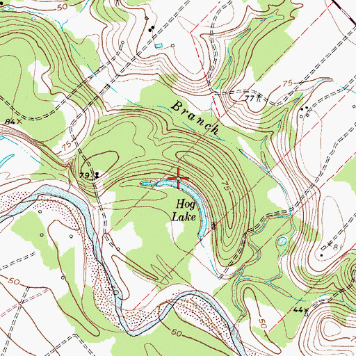 Topographic Map of Hog Lake, TX