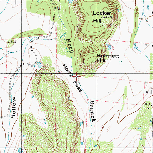 Topographic Map of Hog Pass, TX