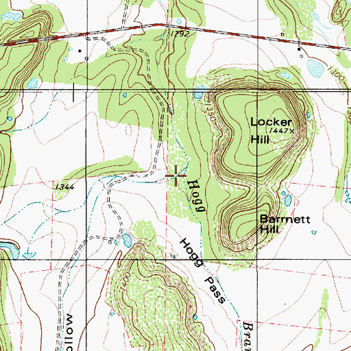 Topographic Map of Hogg Hollow, TX