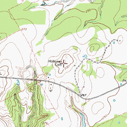 Topographic Map of Holleman Cemetery, TX