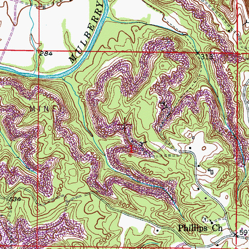 Topographic Map of Bowden Mine, AL