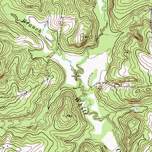 Topographic Map of Holliday Branch, TX