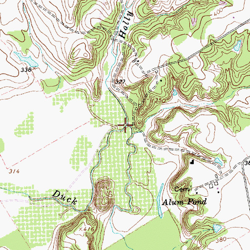 Topographic Map of Holly Branch, TX