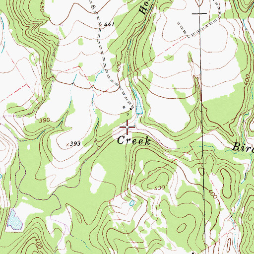 Topographic Map of Holly Branch, TX