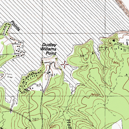 Topographic Map of Holly Creek, TX