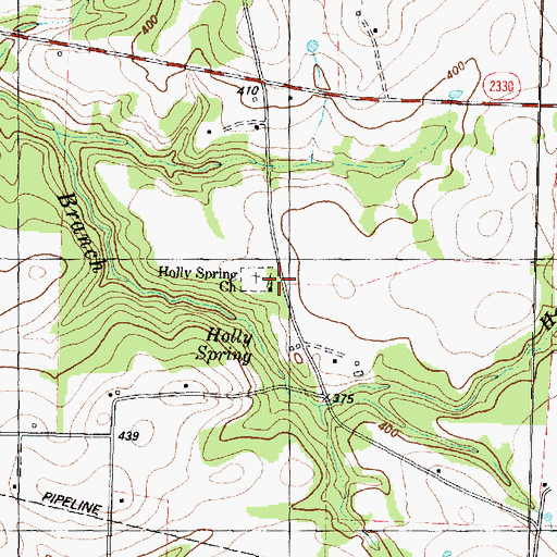 Topographic Map of Holly Spring Church, TX