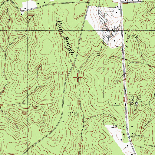 Topographic Map of Horn Branch, TX
