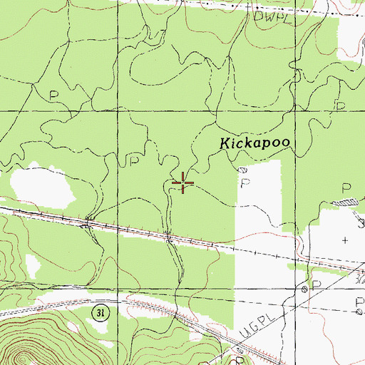 Topographic Map of Horn Branch, TX