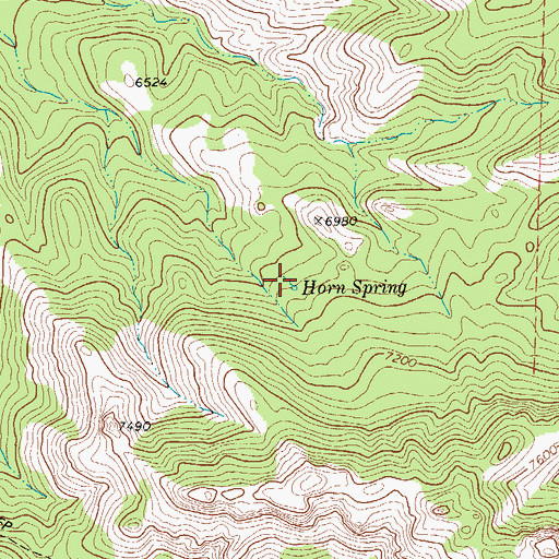 Topographic Map of Horn Spring, TX