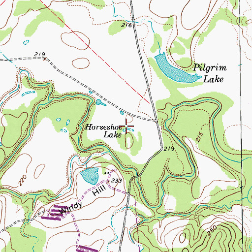 Topographic Map of Horseshoe Lake, TX