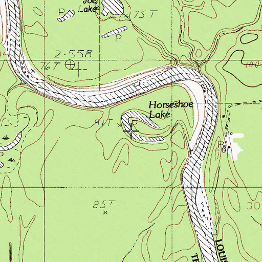 Topographic Map of Horseshoe Lake, TX
