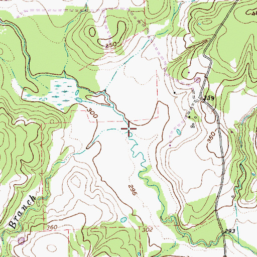 Topographic Map of Hoskins Branch, TX
