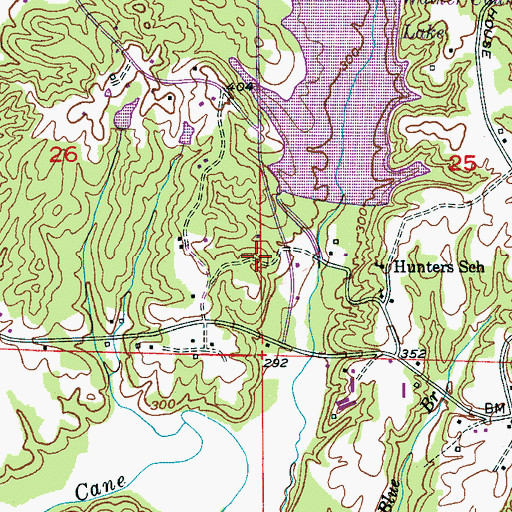 Topographic Map of Rice Mine, AL