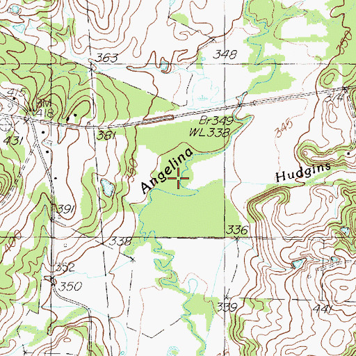 Topographic Map of Hudgins Branch, TX