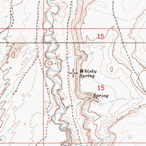 Topographic Map of Whisky Spring, AZ