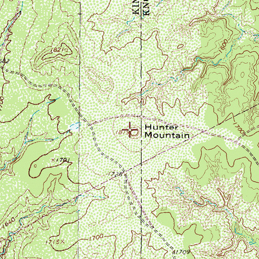Topographic Map of Hunter Mountain, TX