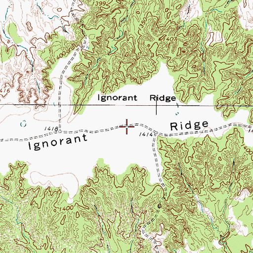 Topographic Map of Ignorant Ridge, TX