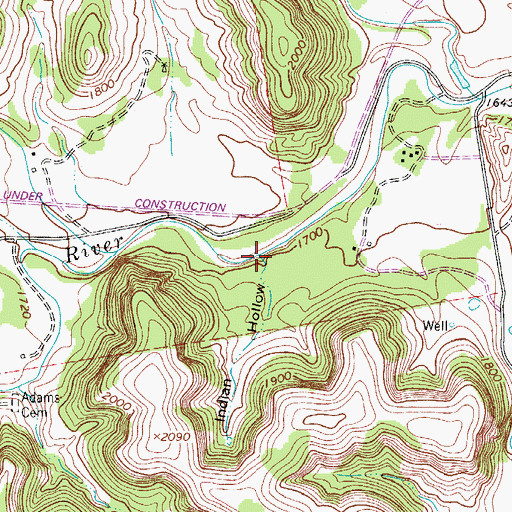Topographic Map of Indian Hollow, TX