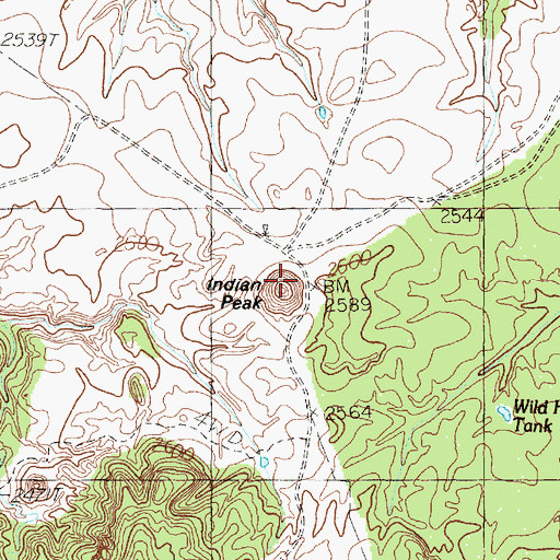 Topographic Map of Indian Peak, TX