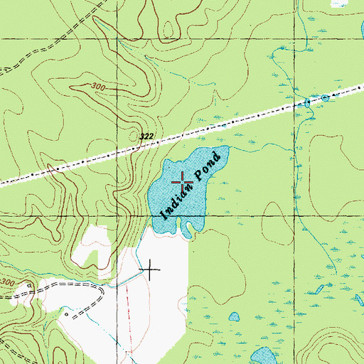 Topographic Map of Indian Pond, TX